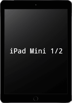 iPadmini12